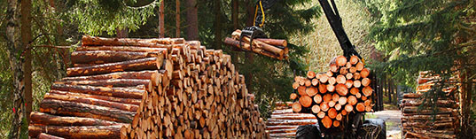 Lumberjack with modern harvester working in a forest. Wood as a